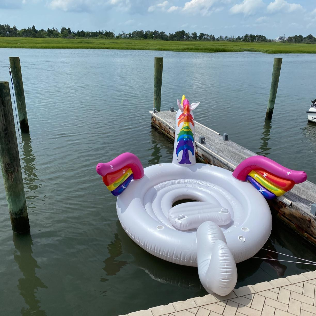 Big clearance inflatable unicorn